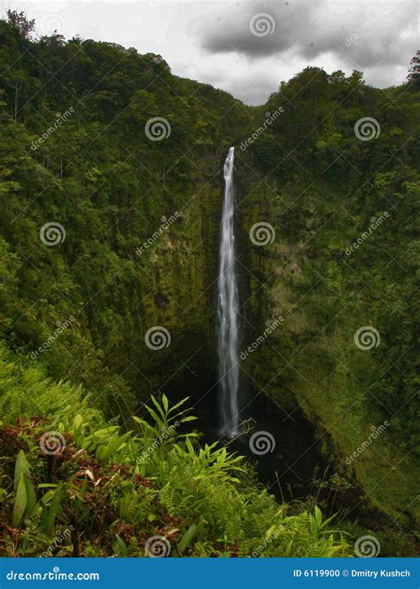 Waterfall in Jungle of Hawaii Stock Photo - Image of clouds, four: 6119900