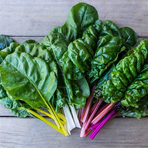 Leafy Greens 101: Your Guide to the Leafy Green Vegetables You Should ...