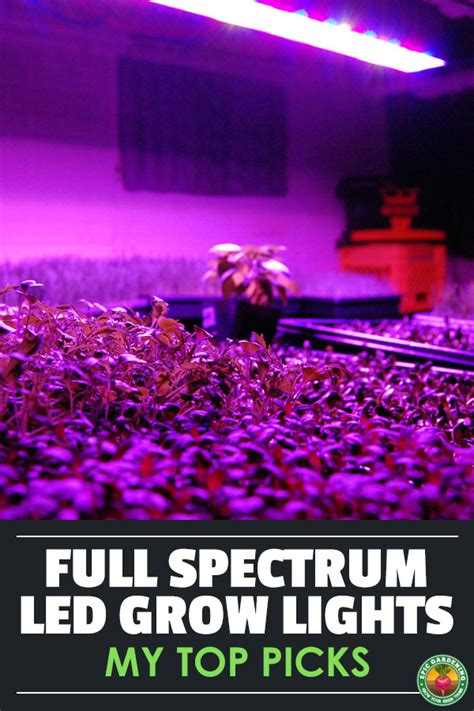 The Best Full Spectrum LED Grow Lights | Epic Gardening