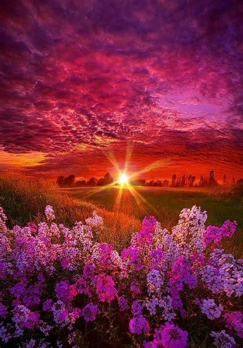 "GOOD MORNING" SHINE GOING TO BE A VERY BEAUTIFUL DAY."LOVE All Nature, Amazing Nature, Nature ...