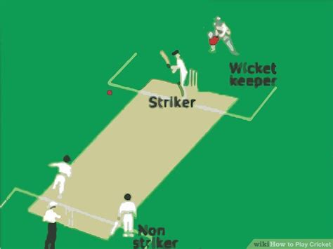 How to Play Cricket: 14 Steps (with Pictures) - wikiHow