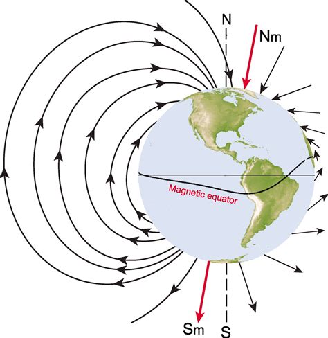 Neural Correlates of a Magnetic Sense | Science