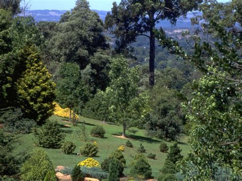 Adelaide Hills, SA - Aussie Towns