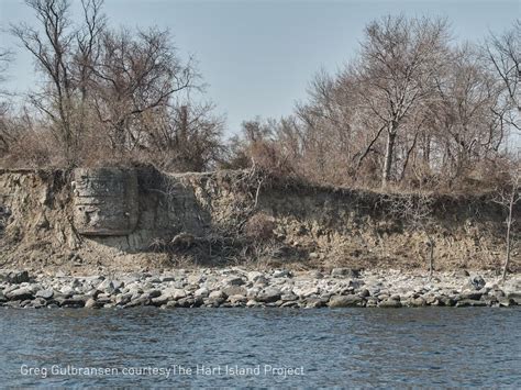 Spooky: Erosion exposes human bones at New York’s Hart Island Cemetery ...