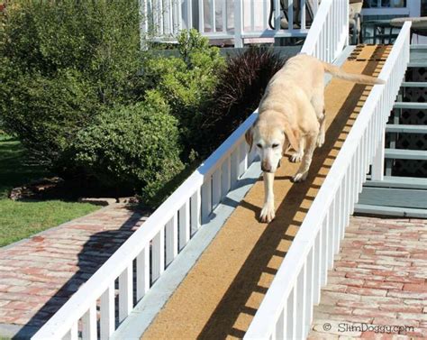 The Things We Do for our Dogs | Dog ramp for stairs, Dog ramp, Outdoor dog bed