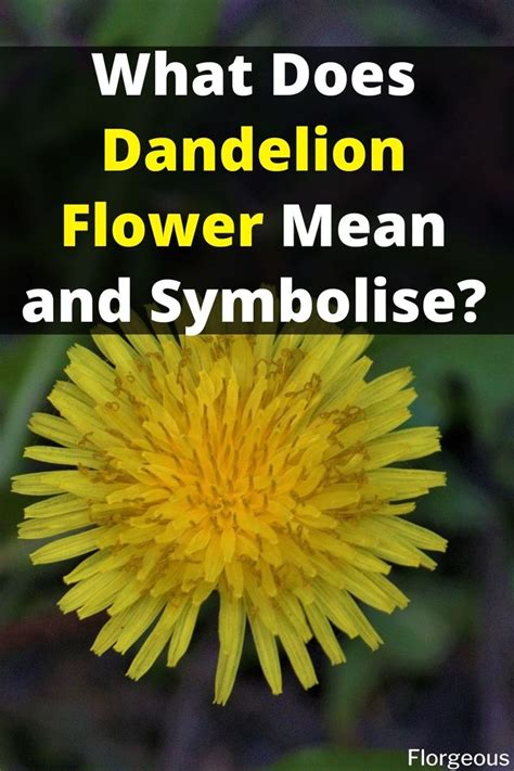 Dandelion Flower Meaning and Symbolism | Dandelion tattoo, Dandelion flower, Dandelion tattoo ...