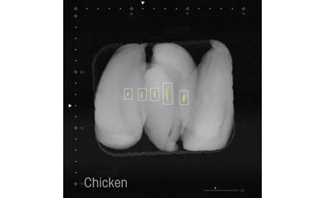 Mettler-Toledo debuts high-quality x-ray inspection technology | The ...