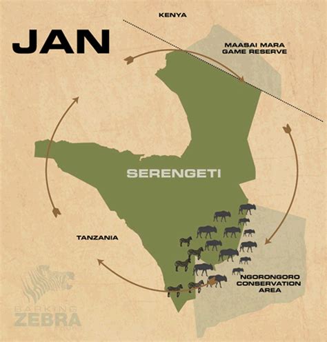 African Safari | Serengeti Migration | Barking Zebra Tours