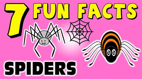 7 FUN FACTS ABOUT SPIDERS! FUN FACTS FOR KIDS! Learning! Learning Colors... | Fun facts for kids ...