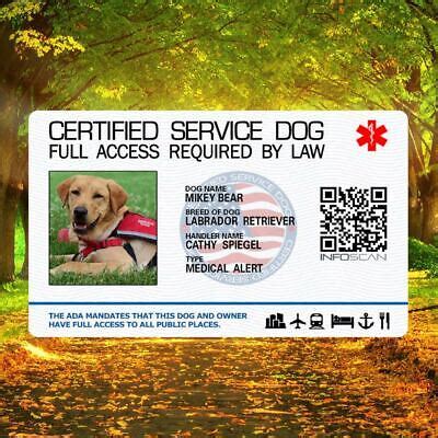 SERVICE DOG ID CARD FOR SERVICE ANIMAL PROFESSIONAL RATED 10 | eBay