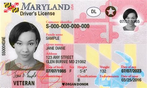 How to Get a Driver's License in Maryland [2024]