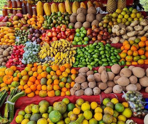 A Taste of El Salvador: Exotic Fruits of El Salvador to Savor Today!