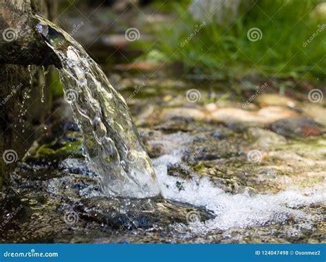 Natural Spring Water at Forest Stock Photo - Image of cool, ecosystem: 124047498