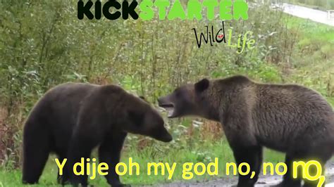 Wild life game video promocional - YouTube