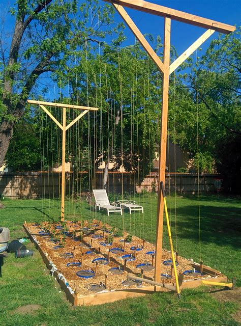 Hop Garden Build | Hops trellis, Beer garden design, Garden design