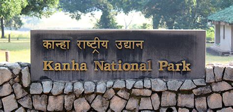 Kanha National Park in the Year 2017 - Happenings at a Glance