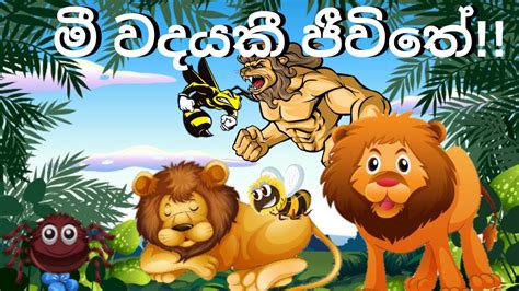 ආඩම්බර මී මැස්සා / Sinhala Lama Kathandara / Lama Kathandara Sinhala / Lama Kathandara - YouTube