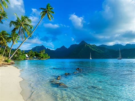 Top 5 Moorea Beaches: What are the best beaches in Moorea?