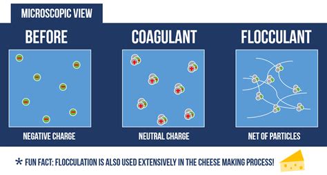 INTERN VIEW: How flocculation helps filtration