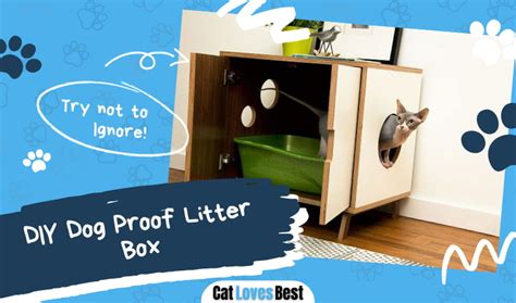 DIY Dog Proof Litter Box [Easy and Quick]