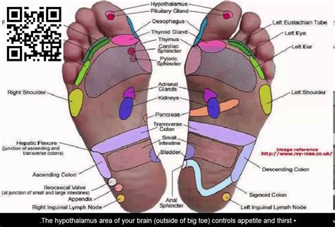 Pressure Points Of The Foot Chart