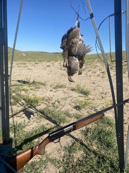 Nebraska Sandhills - Texas Hunting Forum