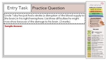 Brain Plasticity (Development) by Psychology Tool Box | TPT