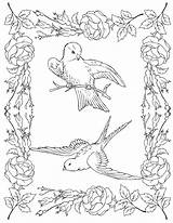 8 Bird Coloring Pages  The Graphics Fairy sketch template