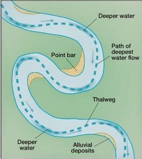 Thalweg. The thalweg is the fastest and strongest part of a river. It ...