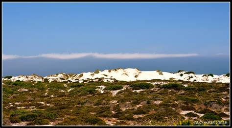 Beaches and birds at West Coast National Park South Africa - Geogypsy