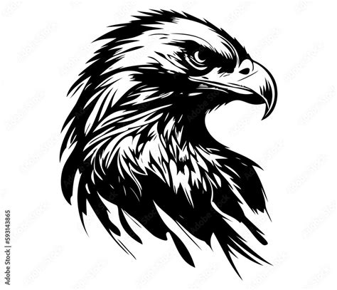 Eagle Face, Silhouettes Eagle Face SVG, black and white Eagle vector ...