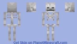 Skeleton Minecraft Skin