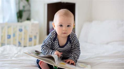 Sensory Books for Babies: Features and Benefits