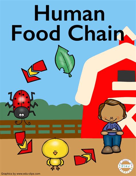 Human Food Chain