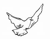 Online coloring Pages Coloring Page Bird dove bird Download Print  sketch template