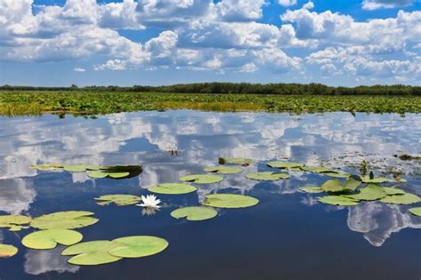 Premium Photo | Danube delta romania