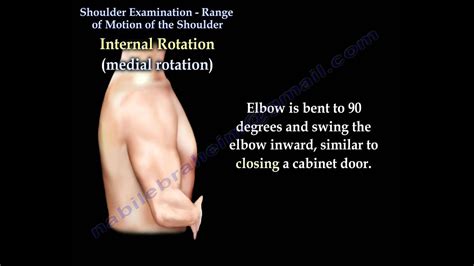 Range Of Motion Testing Charts