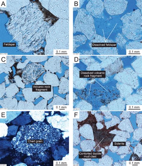 Other grain types. (A) Feldspar grain showing dissolution along... | Download Scientific Diagram