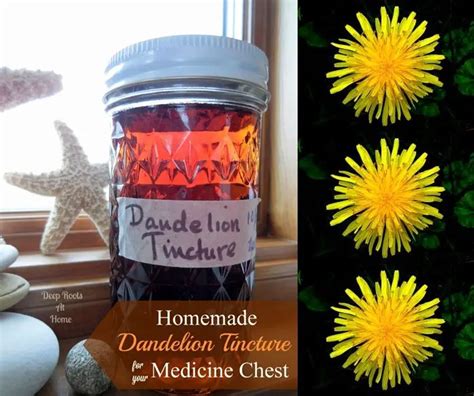 Homemade Medicinal Dandelion Tincture Remedy Recipe - The Homestead Survival