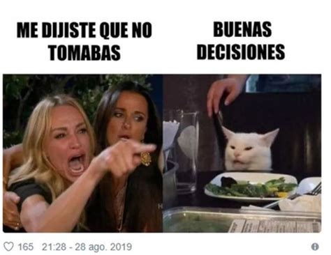 #VIRAL conozca la historia del meme del gato blanco | Distrito TIC