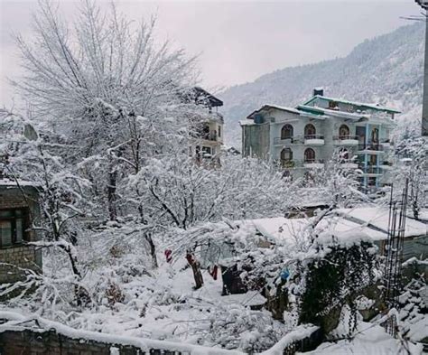 In Pics: Heavy snowfall in Kufri, Kalpa, Manali accentuate Himachal's beauty ahead of New Year's Eve