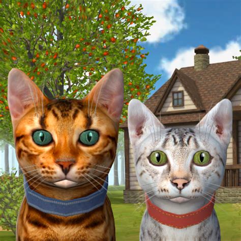 Cat Simulator : Kitties Family - Apps on Google Play