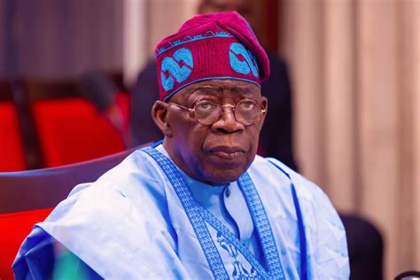 Rule of law, democracy are Nigeria's guiding principles - Tinubu