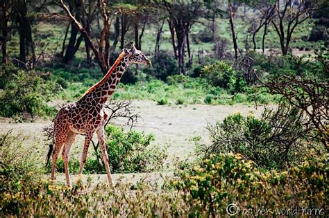 Wildlife Walk at Crater Lake | As Her World Turns