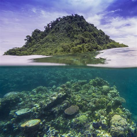 Ban Ban Island & Reef | Over/under view of Ban Ban Island an… | Flickr