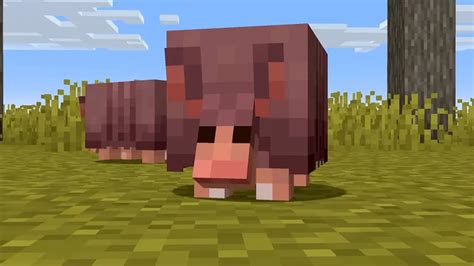 Where To Find Armadillo Mob In Minecraft & Get Wolf Armor