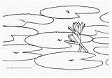 Free Coloring Pages Of Water Download Png  sketch template