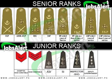 Pakistan Police Officer Ranks / Badges with Grades and Salary