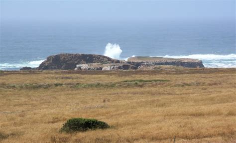 Mendocino Headlands Beaches in Mendocino, CA - California Beaches