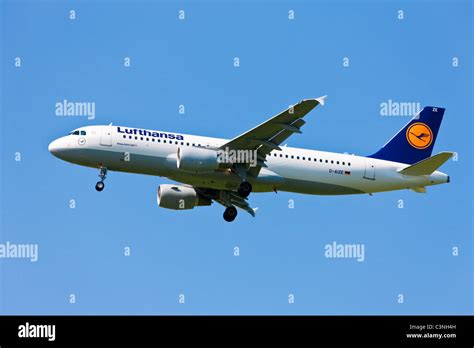 Flight Lufthansa ( Airbus A320-200 ) landing Stock Photo - Alamy